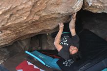 Filename: SRM_20211204_1622560.jpg
Aperture: f/4.0
Shutter Speed: 1/250
Body: Canon EOS R6
Lens: Canon EF 50mm f/1.8 II