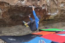 Filename: SRM_20211210_1236470.jpg
Aperture: f/4.0
Shutter Speed: 1/500
Body: Canon EOS R6
Lens: Canon EF 50mm f/1.8 II