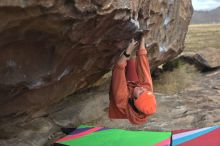 Filename: SRM_20211210_1242140.jpg
Aperture: f/4.0
Shutter Speed: 1/500
Body: Canon EOS R6
Lens: Canon EF 50mm f/1.8 II