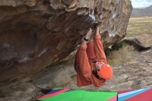 Filename: SRM_20211210_1242141.jpg
Aperture: f/4.0
Shutter Speed: 1/500
Body: Canon EOS R6
Lens: Canon EF 50mm f/1.8 II