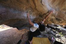 Filename: SRM_20211212_1536580.jpg
Aperture: f/4.0
Shutter Speed: 1/400
Body: Canon EOS R6
Lens: Canon EF 16-35mm f/2.8 L