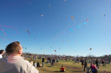 Former UT student Jeff Greenwell attempts to fly a kite at the 79th annual Zilker Park Kite Festival, Sunday, March 4, 2007.
Filename: SRM_20070304_1535060.jpg
Aperture: f/11.0
Shutter Speed: 1/250
Body: Canon EOS-1D Mark II
Lens: Sigma 15-30mm f/3.5-4.5 EX Aspherical DG DF