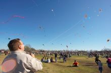 Former UT student Jeff Greenwell attempts to fly a kite at the 79th annual Zilker Park Kite Festival, Sunday, March 4, 2007.
Filename: SRM_20070304_1535081.jpg
Aperture: f/11.0
Shutter Speed: 1/250
Body: Canon EOS-1D Mark II
Lens: Sigma 15-30mm f/3.5-4.5 EX Aspherical DG DF