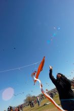 Madhav Tadikonda, class of 1997, and Anjali Patel, class of 1999, fly a UT kite at the 79th annual Zilker Park Kite Festival, Sunday, March 4, 2007.

Filename: SRM_20070304_1537528.jpg
Aperture: f/11.0
Shutter Speed: 1/250
Body: Canon EOS-1D Mark II
Lens: Sigma 15-30mm f/3.5-4.5 EX Aspherical DG DF