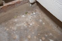 Condominium hunting with Beth.
Filename: SRM_20070404_1627061.jpg
Aperture: f/8.0
Shutter Speed: 1/200
Body: Canon EOS-1D Mark II
Lens: Sigma 15-30mm f/3.5-4.5 EX Aspherical DG DF