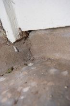 Condominium hunting with Beth.
Filename: SRM_20070404_1627102.jpg
Aperture: f/8.0
Shutter Speed: 1/200
Body: Canon EOS-1D Mark II
Lens: Sigma 15-30mm f/3.5-4.5 EX Aspherical DG DF