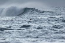 Trip to Maui, Hawai'i, 2007.
Filename: SRM_20071222_1759340.jpg
Aperture: f/5.6
Shutter Speed: 1/640
Body: Canon EOS 20D
Lens: Canon EF 300mm f/2.8 L IS