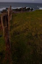 Trip to Maui, Hawai'i, 2007.
Filename: SRM_20071222_1808288.jpg
Aperture: f/8.0
Shutter Speed: 1/15
Body: Canon EOS-1D Mark II
Lens: Sigma 15-30mm f/3.5-4.5 EX Aspherical DG DF