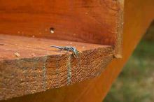 1020409145
Filename: SRM_20050813_173304_9.jpg
Aperture: f/7.1
Shutter Speed: 1/60
Body: Canon EOS 20D
Lens: Canon EF-S 18-55mm f/3.5-5.6