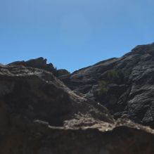 Filename: SRM_20231122_1245180.jpg
Aperture: f/8.0
Shutter Speed: 1/1600
Body: Canon EOS R6
Lens: Canon EF 50mm f/1.8 II