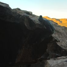 Filename: SRM_20231122_1647170.jpg
Aperture: f/4.0
Shutter Speed: 1/400
Body: Canon EOS R6
Lens: Canon EF 50mm f/1.8 II