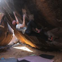 Filename: SRM_20240309_1628490.jpg
Aperture: f/5.6
Shutter Speed: 1/500
Body: Canon EOS R6
Lens: Canon EF 16-35mm f/2.8 L