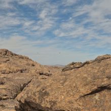 

Filename: SRM_20250222_1132290.jpg
Aperture: f/5.6
Shutter Speed: 1/400
Body: Canon EOS R6
Lens: Canon EF 16-35mm f/2.8 L