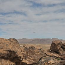 

Filename: SRM_20250222_1132410.jpg
Aperture: f/5.6
Shutter Speed: 1/400
Body: Canon EOS R6
Lens: Canon EF 16-35mm f/2.8 L