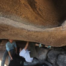 Filename: SRM_20251110_1438050.jpg
Aperture: f/5.6
Shutter Speed: 1/500
Body: Canon EOS R6
Lens: Canon EF 16-35mm f/2.8 L