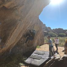 Filename: SRM_20251110_1135351.jpg
Aperture: f/4.0
Shutter Speed: 1/500
Body: Canon EOS R6
Lens: Canon EF 16-35mm f/2.8 L