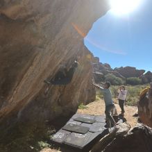 Filename: SRM_20251110_1135390.jpg
Aperture: f/4.0
Shutter Speed: 1/500
Body: Canon EOS R6
Lens: Canon EF 16-35mm f/2.8 L