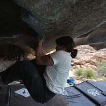 Filename: SRM_20260207_1252451.jpg
Aperture: f/4.5
Shutter Speed: 1/400
Body: Canon EOS R6
Lens: Canon EF 16-35mm f/2.8 L