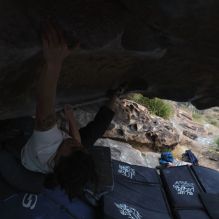 Filename: SRM_20260207_1253061.jpg
Aperture: f/4.5
Shutter Speed: 1/400
Body: Canon EOS R6
Lens: Canon EF 16-35mm f/2.8 L