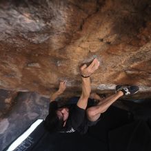 Filename: SRM_20260307_1407280.jpg
Aperture: f/4.0
Shutter Speed: 1/400
Body: Canon EOS R6
Lens: Canon EF 16-35mm f/2.8 L