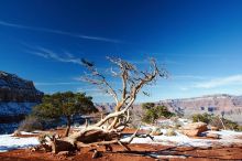 Hike down the South Kaibab trail, backpacking the Grand Canyon with Beth, Thursday, January 1, 2009.
Filename: SRM_20090101_12570109.jpg
Aperture: f/14.0
Shutter Speed: 1/50
Body: Canon EOS-1D Mark II
Lens: Canon EF 16-35mm f/2.8 L