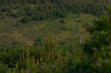 Filename: CRW_8884.jpg
Aperture: f/7.1
Shutter Speed: 1/320
Body: Canon EOS DIGITAL REBEL
Lens: Canon EF 80-200mm f/2.8 L