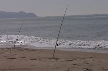 Filename: CRW_8895.jpg
Aperture: f/18.0
Shutter Speed: 1/250
Body: Canon EOS DIGITAL REBEL
Lens: Canon EF 80-200mm f/2.8 L