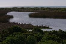 Filename: CRW_8885.jpg
Aperture: f/14.0
Shutter Speed: 1/200
Body: Canon EOS DIGITAL REBEL
Lens: Canon EF 80-200mm f/2.8 L