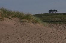 Filename: CRW_8897.jpg
Aperture: f/14.0
Shutter Speed: 1/250
Body: Canon EOS DIGITAL REBEL
Lens: Canon EF 80-200mm f/2.8 L