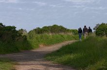 Filename: CRW_8902.jpg
Aperture: f/9.0
Shutter Speed: 1/250
Body: Canon EOS DIGITAL REBEL
Lens: Canon EF 80-200mm f/2.8 L