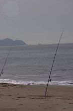 Filename: CRW_8894.jpg
Aperture: f/22.0
Shutter Speed: 1/160
Body: Canon EOS DIGITAL REBEL
Lens: Canon EF 80-200mm f/2.8 L