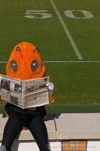 

Filename: crw_9547_std.jpg
Aperture: f/18.0
Shutter Speed: 1/100
Body: Canon EOS DIGITAL REBEL
Lens: Canon EF 80-200mm f/2.8 L