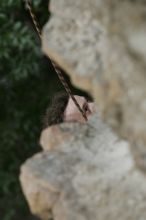 Jason Shear competing. CTM hosted a speed climbing event at Seismic Wall on Diving for Rocks to benefit the Austin Area Food Bank, Saturday, May 9, 2009.
Filename: SRM_20090509_11212559.jpg
Aperture: f/5.0
Shutter Speed: 1/500
Body: Canon EOS-1D Mark II
Lens: Canon EF 80-200mm f/2.8 L
