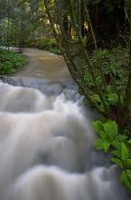 Filename: CRW_8633.jpg
Aperture: f/22.0
Shutter Speed: 4/1
Body: Canon EOS DIGITAL REBEL
Lens: Canon EF-S 18-55mm f/3.5-5.6