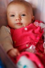 Filename: SRM_20110110_13404891.JPG
Aperture: f/1.2
Shutter Speed: 1/500
Body: Canon EOS-1D Mark II
Lens: Canon EF 85mm f/1.2 L II