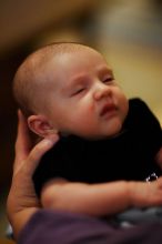 

Filename: SRM_20110108_22400967.JPG
Aperture: f/1.2
Shutter Speed: 1/160
Body: Canon EOS-1D Mark II
Lens: Canon EF 85mm f/1.2 L II