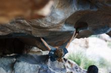 

Filename: SRM_20161120_1839492.jpg
Aperture: f/1.8
Shutter Speed: 1/320
Body: Canon EOS-1D Mark II
Lens: Canon EF 85mm f/1.2 L II