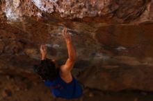 Filename: SRM_20161124_1241454.jpg
Aperture: f/2.0
Shutter Speed: 1/400
Body: Canon EOS-1D Mark II
Lens: Canon EF 85mm f/1.2 L II