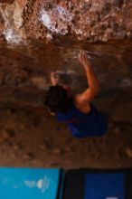 Filename: SRM_20161124_1246570.jpg
Aperture: f/1.8
Shutter Speed: 1/500
Body: Canon EOS-1D Mark II
Lens: Canon EF 85mm f/1.2 L II