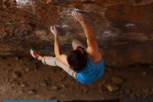 Filename: SRM_20161124_1248070.jpg
Aperture: f/1.8
Shutter Speed: 1/500
Body: Canon EOS-1D Mark II
Lens: Canon EF 85mm f/1.2 L II