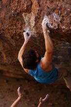 Filename: SRM_20161124_1249591.jpg
Aperture: f/1.8
Shutter Speed: 1/500
Body: Canon EOS-1D Mark II
Lens: Canon EF 85mm f/1.2 L II