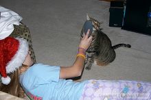 Filename: crw_6092_std.jpg
Aperture: f/7.1
Shutter Speed: 1/200
Body: Canon EOS DIGITAL REBEL
Lens: Canon EF-S 18-55mm f/3.5-5.6