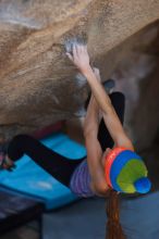 Filename: SRM_20161124_1601252.jpg
Aperture: f/1.8
Shutter Speed: 1/320
Body: Canon EOS-1D Mark II
Lens: Canon EF 85mm f/1.2 L II