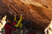 Filename: SRM_20161210_1321491.jpg
Aperture: f/2.0
Shutter Speed: 1/640
Body: Canon EOS-1D Mark II
Lens: Canon EF 85mm f/1.2 L II