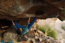 Filename: SRM_20161210_1908200.jpg
Aperture: f/2.0
Shutter Speed: 1/500
Body: Canon EOS-1D Mark II
Lens: Canon EF 85mm f/1.2 L II