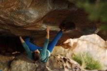 Filename: SRM_20161210_1908230.jpg
Aperture: f/2.0
Shutter Speed: 1/400
Body: Canon EOS-1D Mark II
Lens: Canon EF 85mm f/1.2 L II