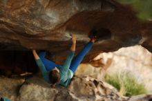 Filename: SRM_20161210_1908240.jpg
Aperture: f/2.0
Shutter Speed: 1/400
Body: Canon EOS-1D Mark II
Lens: Canon EF 85mm f/1.2 L II