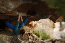 Filename: SRM_20161210_1908250.jpg
Aperture: f/2.0
Shutter Speed: 1/640
Body: Canon EOS-1D Mark II
Lens: Canon EF 85mm f/1.2 L II