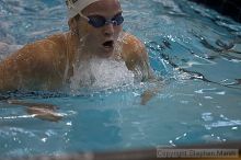 Lisa Hancock placed 5th in the women;s 200 yd medley against UVA.
Filename: crw_3705_std.jpg
Aperture: f/2.8
Shutter Speed: 1/400
Body: Canon EOS DIGITAL REBEL
Lens: Canon EF 80-200mm f/2.8 L