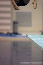 Filename: crw_3668_std.jpg
Aperture: f/2.8
Shutter Speed: 1/400
Body: Canon EOS DIGITAL REBEL
Lens: Canon EF 80-200mm f/2.8 L